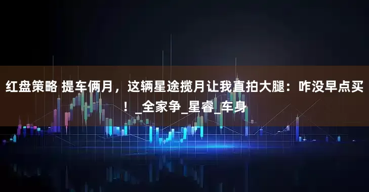 红盘策略 提车俩月，这辆星途揽月让我直拍大腿：咋没早点买！_全家争_星睿_车身