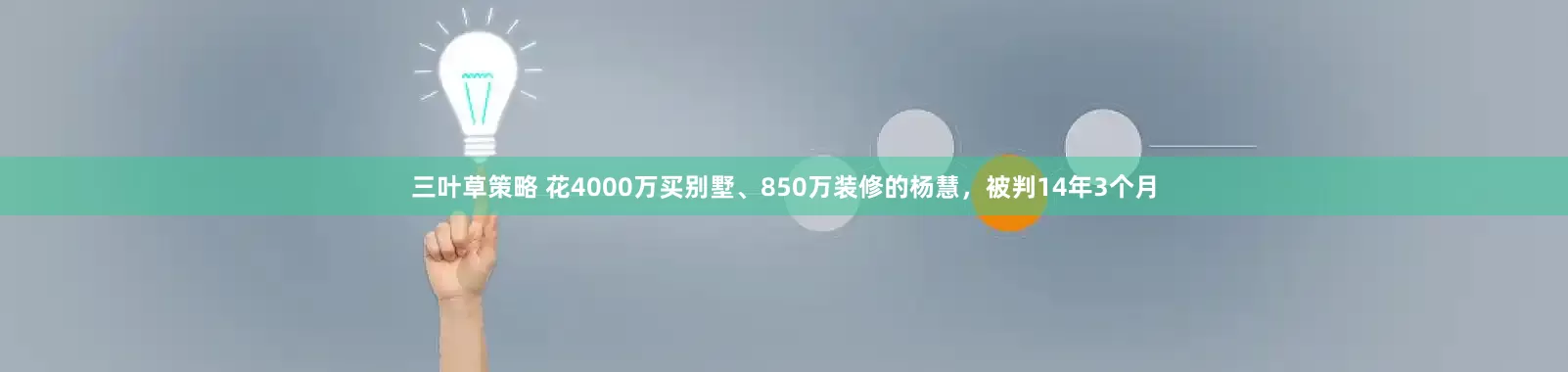 三叶草策略 花4000万买别墅、850万装修的杨慧，被判14年3个月